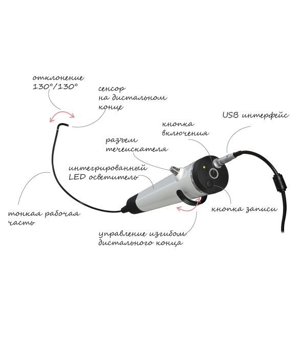 подробнее видеорино.png